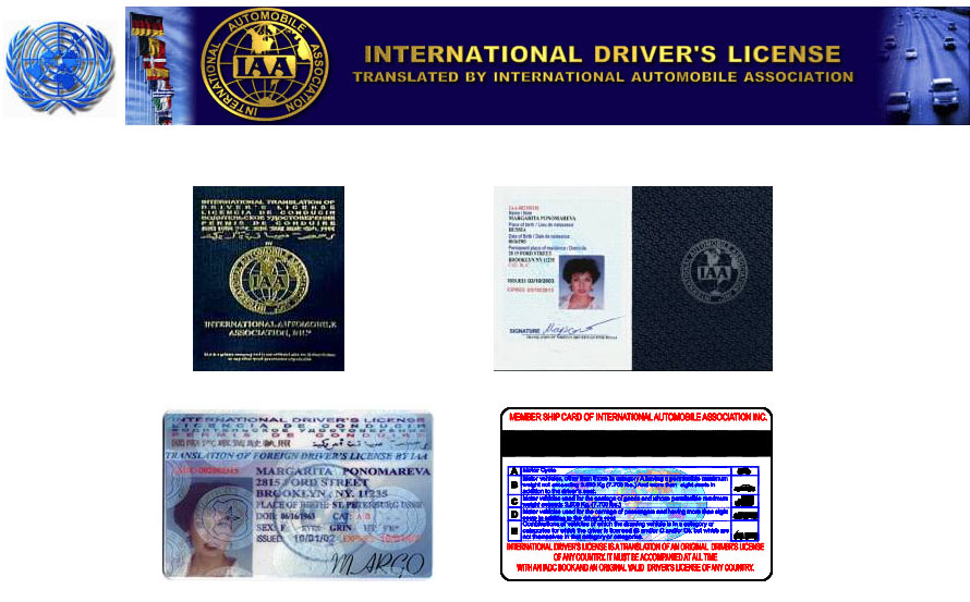 國際駕照(圖1)